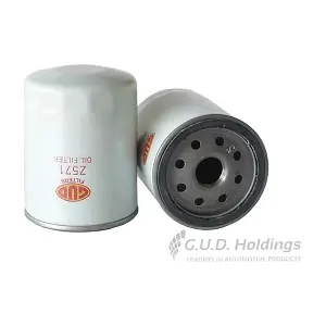 Z571 GUD