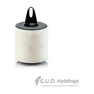 AG1358 GUD