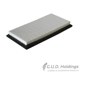 AG1521 GUD