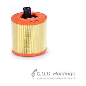 AG1916 GUD