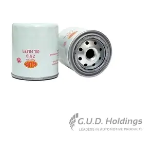 Z519 GUD