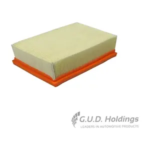 AG1691 GUD