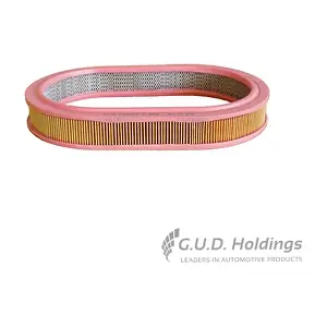 AG703 GUD
