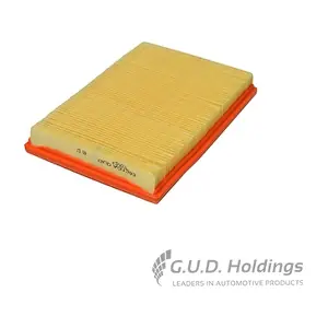 AG1283 GUD
