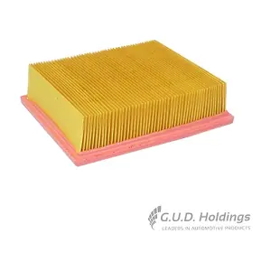 AG1313 GUD