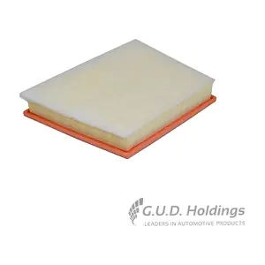 AG1729 GUD