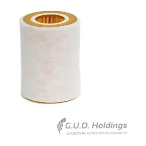AG1124 GUD