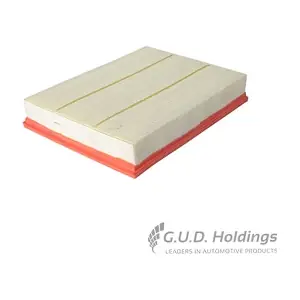 AG1379 GUD