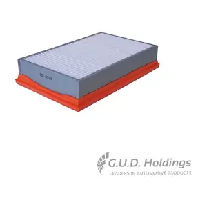 AG1529 GUD