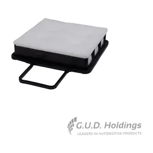 AG1956 GUD