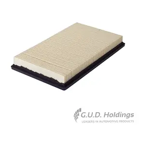 AG1310 GUD
