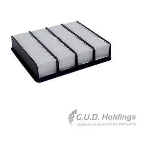 AG1043 GUD