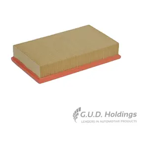 AG1036 GUD