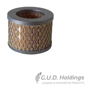 AG1816 GUD