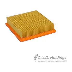 AG1671 GUD