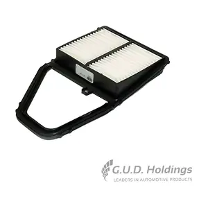 AG1145 GUD