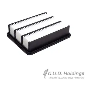 AG1782 GUD