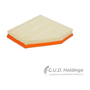AG1803 GUD