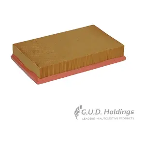 AG1038 GUD