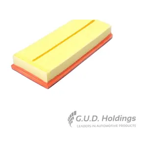 AG1508 GUD