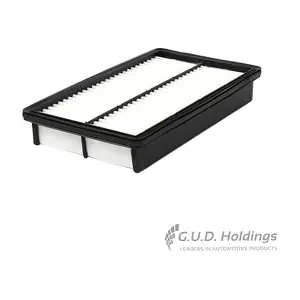 AG1441 GUD