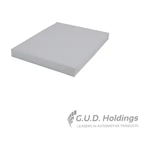 AC233 GUD