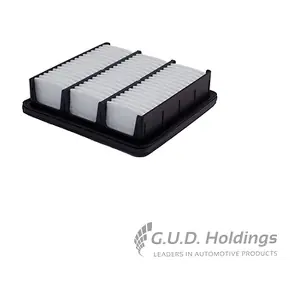 AG1382 GUD