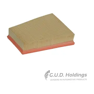 AG1368 GUD