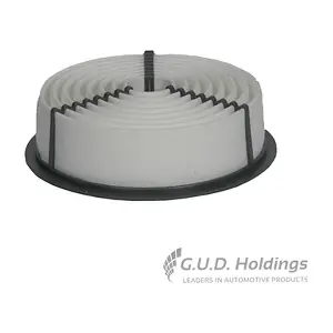 AG849 GUD