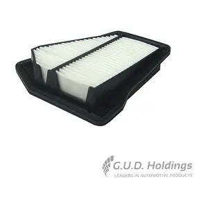 AG1687 GUD