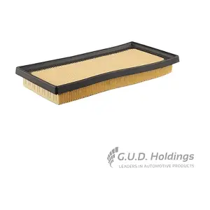 AG1854 GUD
