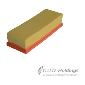 AG807 GUD