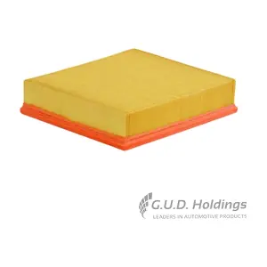 AG1417 GUD