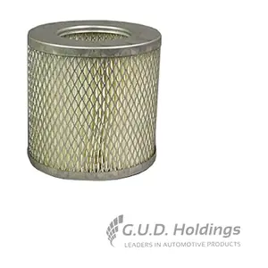 AG1810 GUD