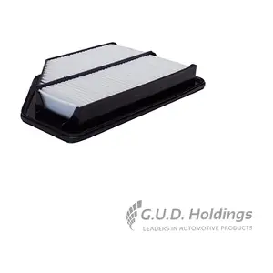 AG1513 GUD
