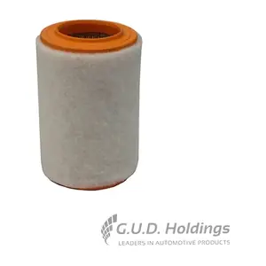 AG1663 GUD