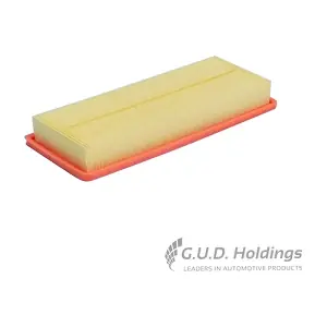 AG1725 GUD