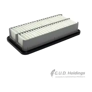 AG1369 GUD