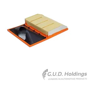 AG1693 GUD