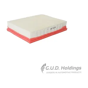 AG1806 GUD