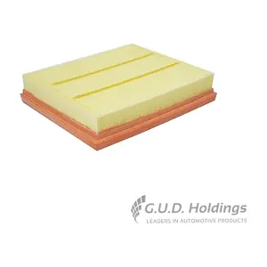 AG1563 GUD