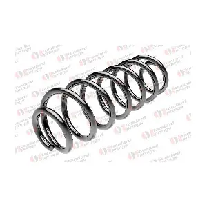 ST 134 098 R STANDARD SPRINGS