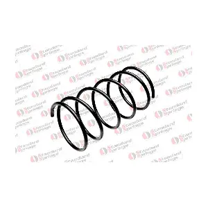 ST 110 029 F STANDARD SPRINGS