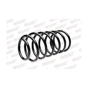 STANDARD SPRINGS ST 107 003 F