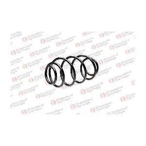 ST 124 079 F STANDARD SPRINGS