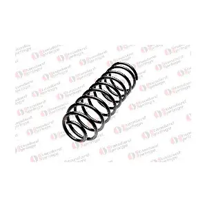 ST 127 065 R STANDARD SPRINGS