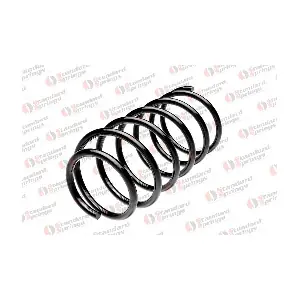 ST 134 009 F STANDARD SPRINGS
