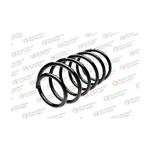 ST107010F STANDARD SPRINGS