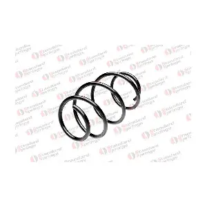 ST 114 003 F STANDARD SPRINGS