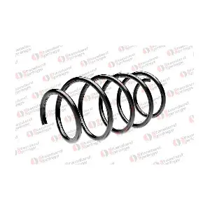 ST 111 053 F STANDARD SPRINGS